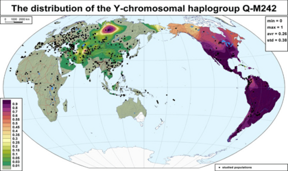 Global frequency distribution map of haplogroup Q-M242 (Y-DNA)