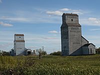 Grain Elevators at Snowflake, Manitoba