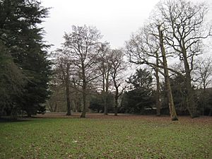 Greenhill Gardens