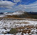 Haycock from caw fell