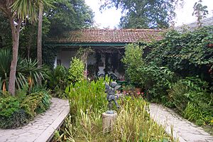 Heligan Italian Garden