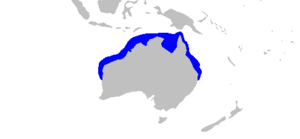 Hemigaleus australiensis distmap.png