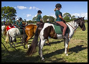 Hendra Pony Club Meeting 2Feb14 (12286079115)