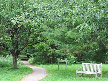 Ivey Trail Guelph Arboretum