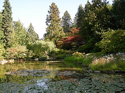 Japanese Garden - Seattle 03