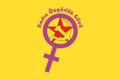 Kadın Özgürlük Gücü (Women's Liberation Forces) flag