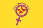 Kadın Özgürlük Gücü (Women's Liberation Forces) flag.svg