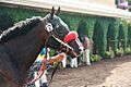 Lava Man-2006 Pacific Classic
