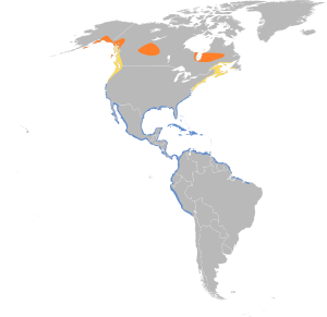 Limnodromus griseus map.svg