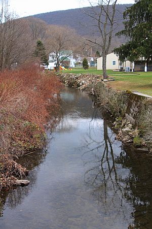 Little Mahanoy Creek looking upstream