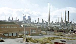 Llandarcy Oil Refinery, geograph-3395741-by-Ben-Brooksbank.jpg