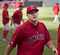 Mike Trout 2013