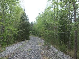 Most recent section of railroad abandonment along the Triple C Rail Trail
