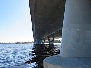 Mount Henry Bridge seen from the south, August 2021 01.jpg