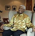 Nelson Mandela (cropped)