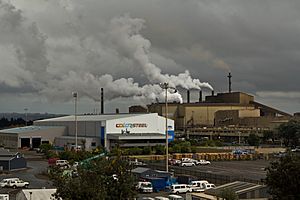 New Zealand Steel Mill from lookout.jpg