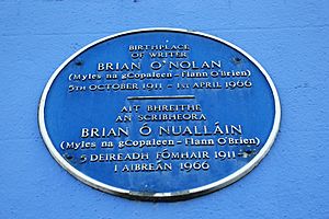 ONolan plaque, Strabane (02), January 2010