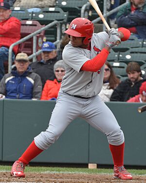 Oscar Taveras on May 5, 2013