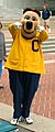 Oski