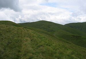 Path up to Foulbrig - geograph.org.uk - 10141