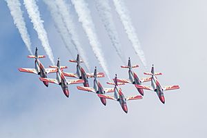 Patrulla Águila. Festival Aéreo Internacional de Gijón. 2017. (36052471451)