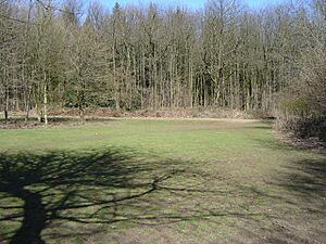 Picnic Area at Chawton Park Woods - geograph.org.uk - 148394