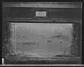 Pike aquarium c1908