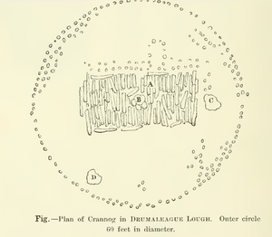 Plan of Drumaleague Crannog one