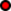 {{{float_caption}}}