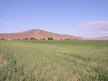 Red Mountain from East.JPG