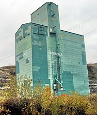 Rosedale elevator