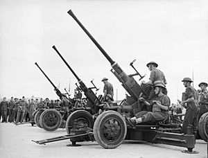 Royal Artillery 40mm Bofors guns being assembled on their arrival in Greece, 25 November 1940. E1255