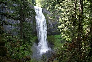 Salt Creek Falls 1.jpg