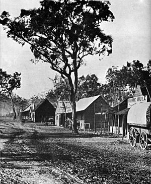 Shops at Home Rule, New South Wales c.1872