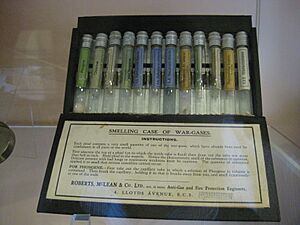 Smelling Case of War Gases, Clifton Park Museum