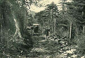 Stoddard-2