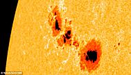 Sunspots 1302 Sep 2011 by NASA.jpg
