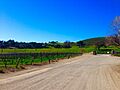 Sunstone-Vineyards-in-Santa-Ynez-Valley-Winetour-Visit-American-Luxury-Limousine-2015