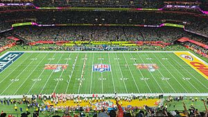 Super Bowl LIX (54360870227)