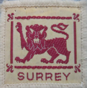 Surrey Scout County (The Scout Association)