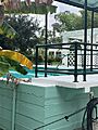 Swimming pool at Edson and Ford Winter Estates
