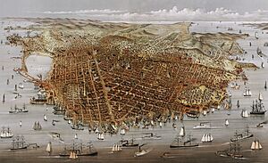 The City of San Francisco, panorama by Currier & Ives, 1878 (cropped)