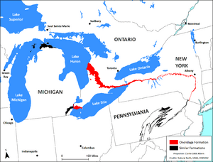 The Onondaga Formation.png