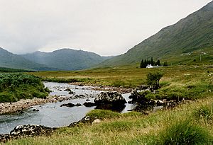 The River Dessary below Glendessary house - geograph.org.uk - 1517807