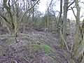 Thrapston Station Quarry 3