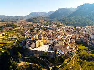 Tivissa from the air