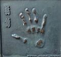 Tochinishiki handprint