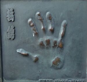 Tochinishiki handprint