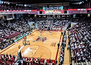 Trojan Arena Troy 9