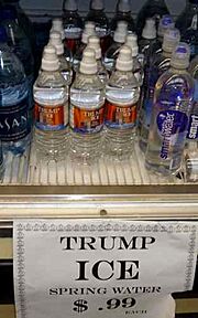 Trump Ice 2